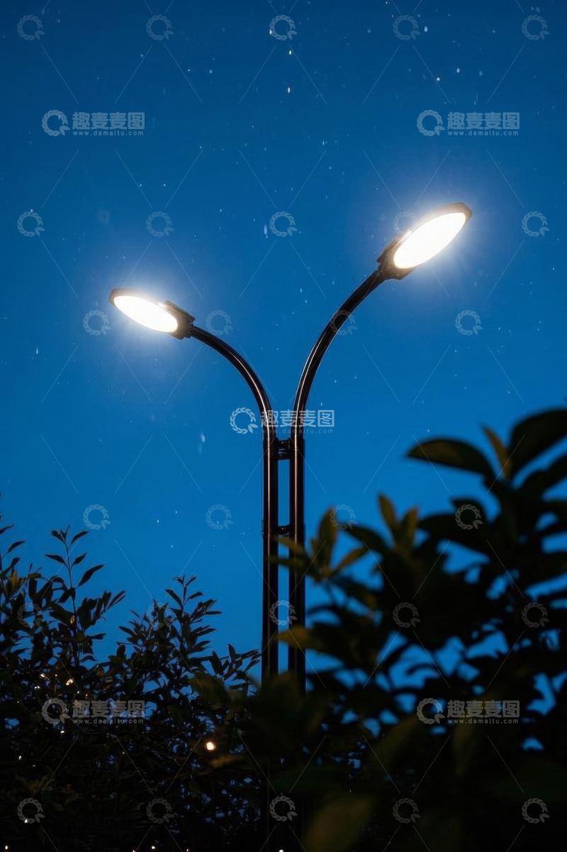 高清大图下载【趣麦麦图】夜晚路灯与星空下的绿植景观