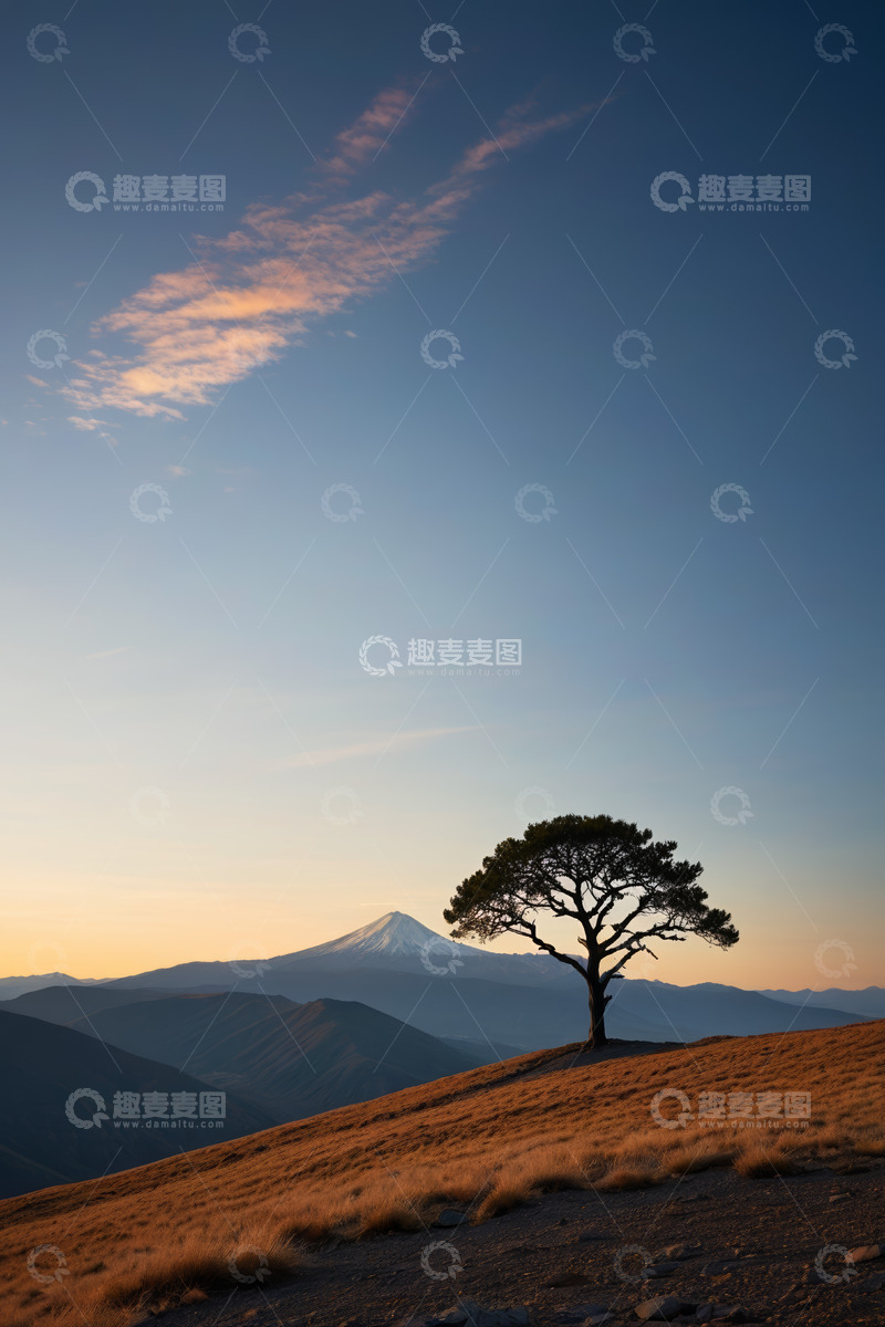 高清大图下载【趣麦麦图】山丘上孤树与远山景观