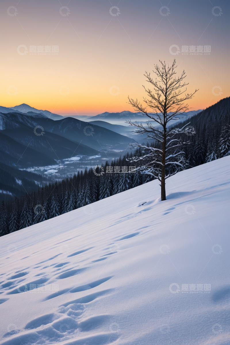 高清大图下载【趣麦麦图】雪中山景与孤树黄昏景象