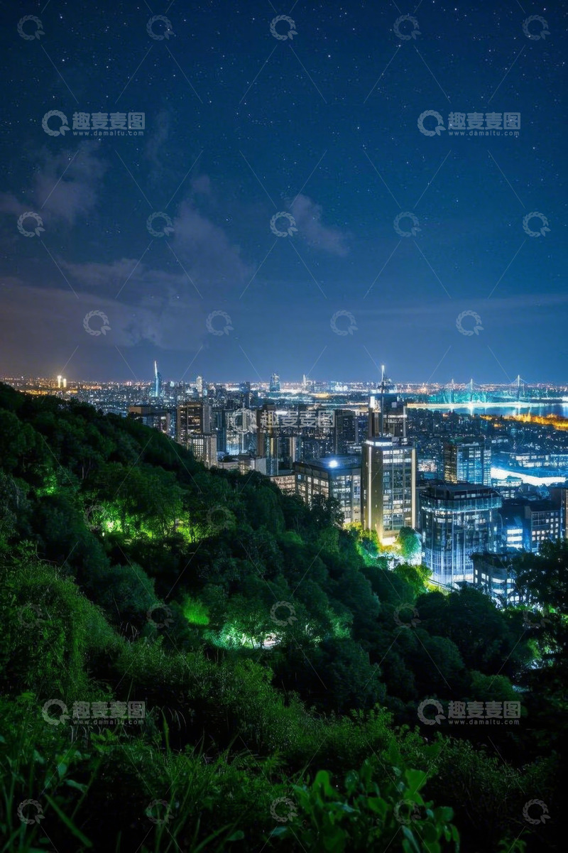 高清大图下载【趣麦麦图】夜晚城市与山林夜景