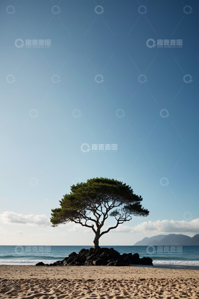 高清大图下载【趣麦麦图】海滩上独立的树与海景