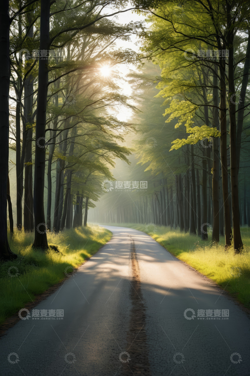 高清大图下载【趣麦麦图】林间道路阳光穿透树木景象