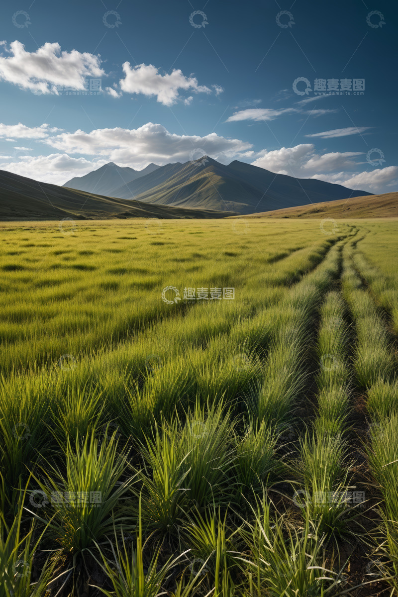 高清大图下载【趣麦麦图】广袤草原与远山风景