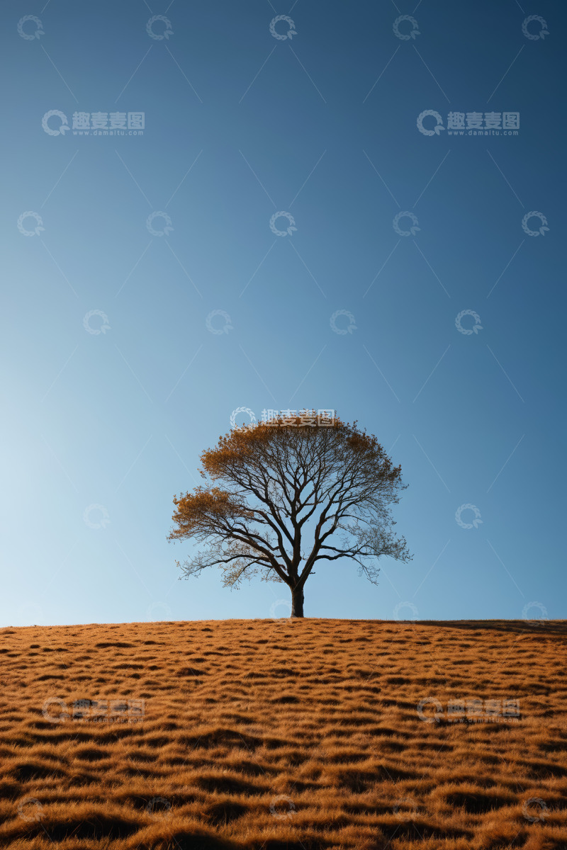 高清大图下载【趣麦麦图】山丘上的孤树与蓝天草地
