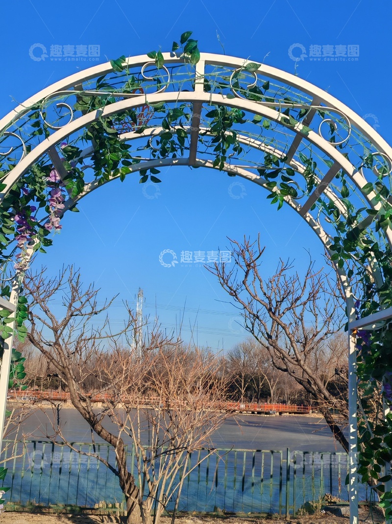 高清大图下载【趣麦麦图】冬日藤蔓拱门风景