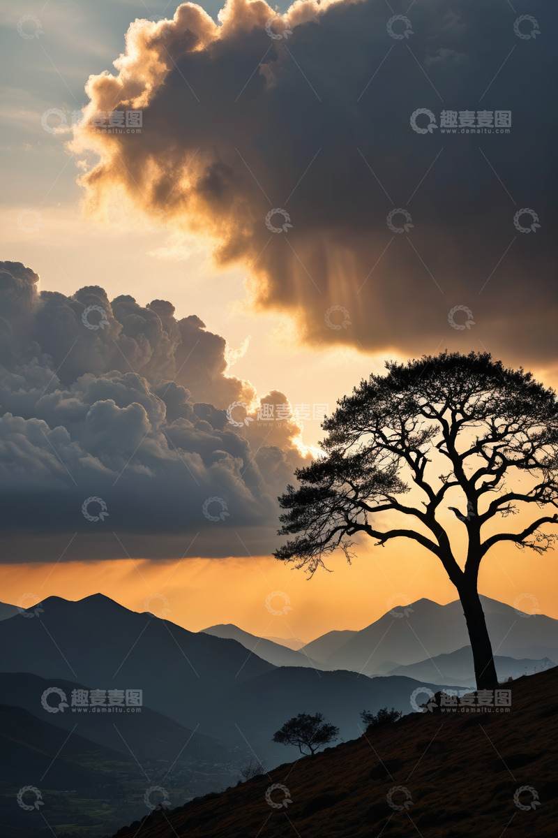 高清大图下载【趣麦麦图】夕阳下孤树与远山云海景观