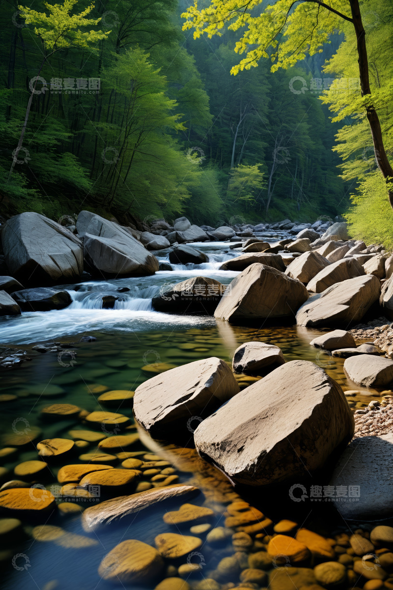 高清大图下载【趣麦麦图】森林中潺潺溪流与岩石景观