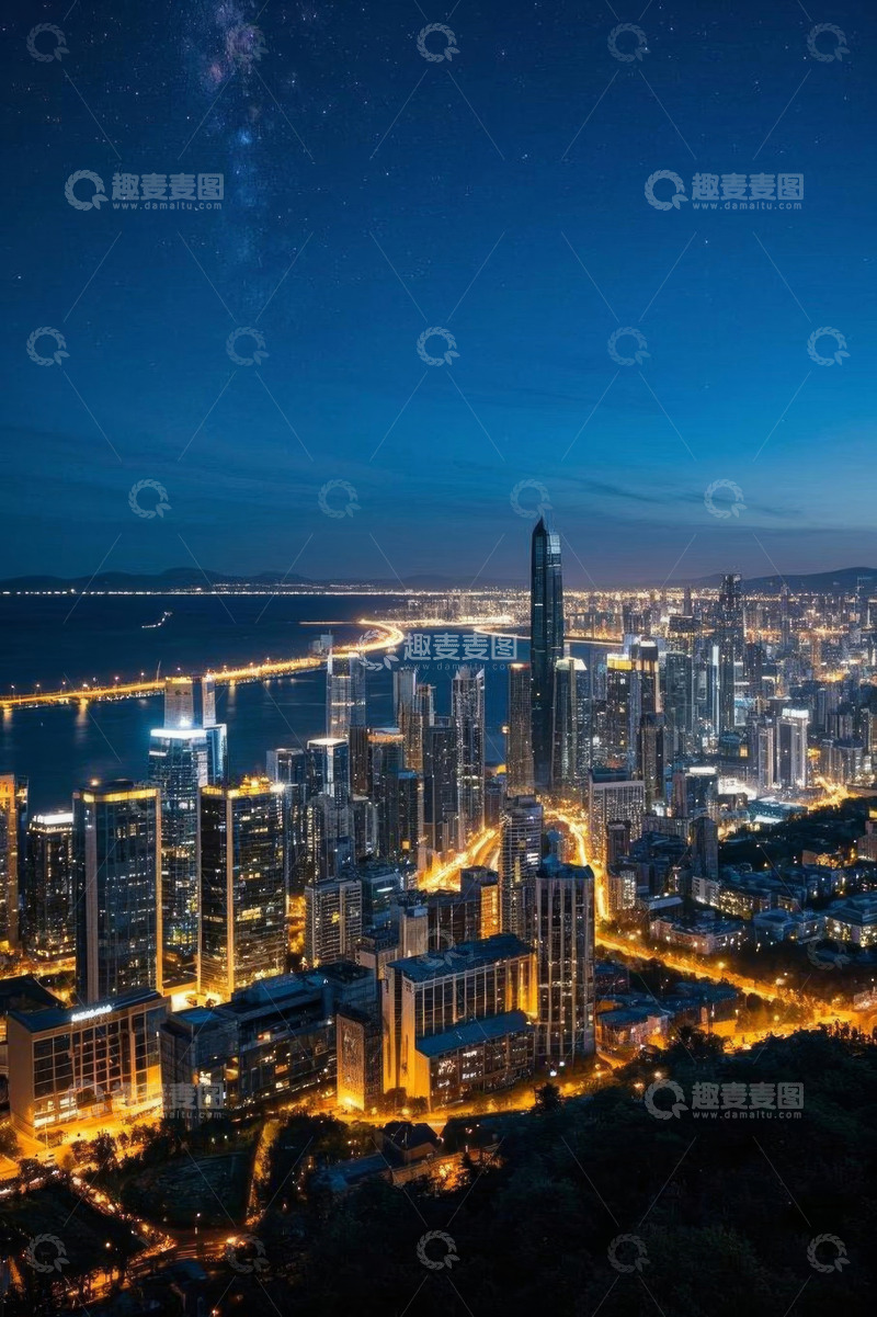 高清大图下载【趣麦麦图】城市夜景高楼全景俯瞰