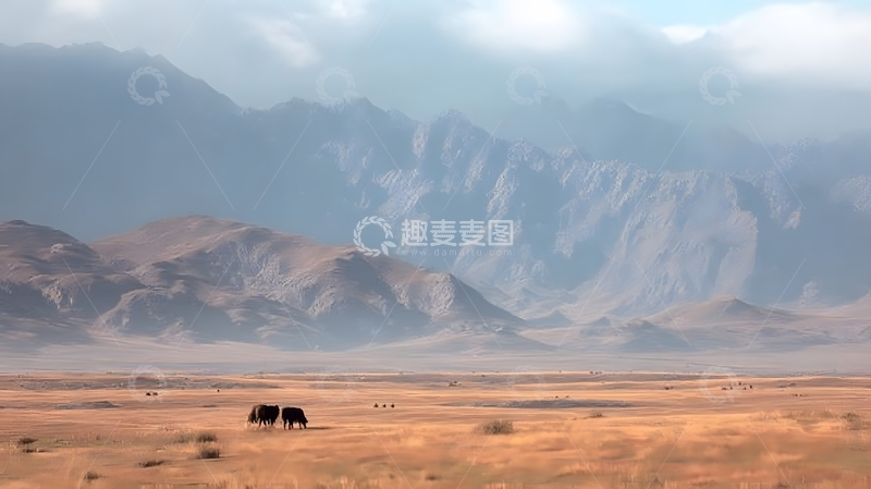 高清大图下载【趣麦麦图】壮阔山脉草原野生动物风光摄影