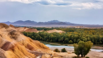 荒漠河流森林景观摄影