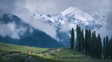 雪山云雾森林徒步