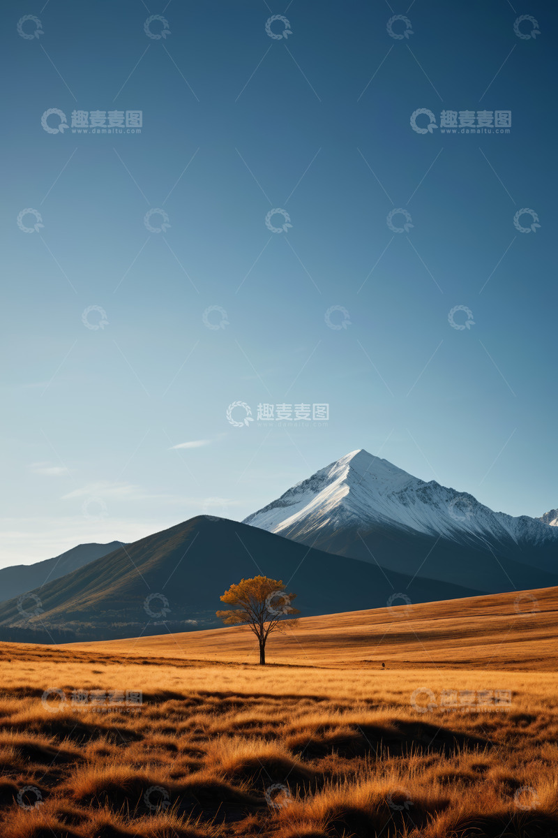 高清大图下载【趣麦麦图】草原孤树与远处雪山风景