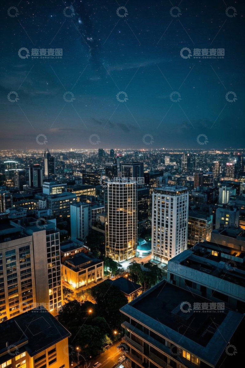 高清大图下载【趣麦麦图】夜晚城市高楼俯瞰全景