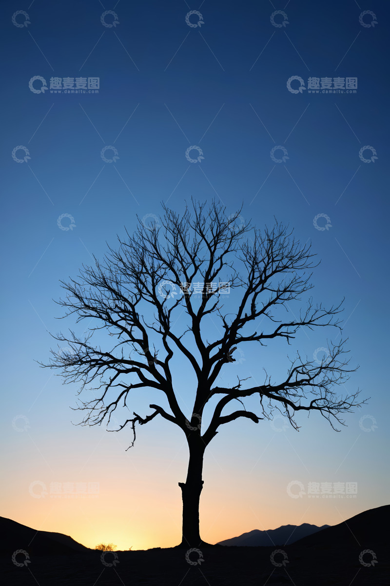 高清大图下载【趣麦麦图】黄昏下户外单棵无叶树木景象
