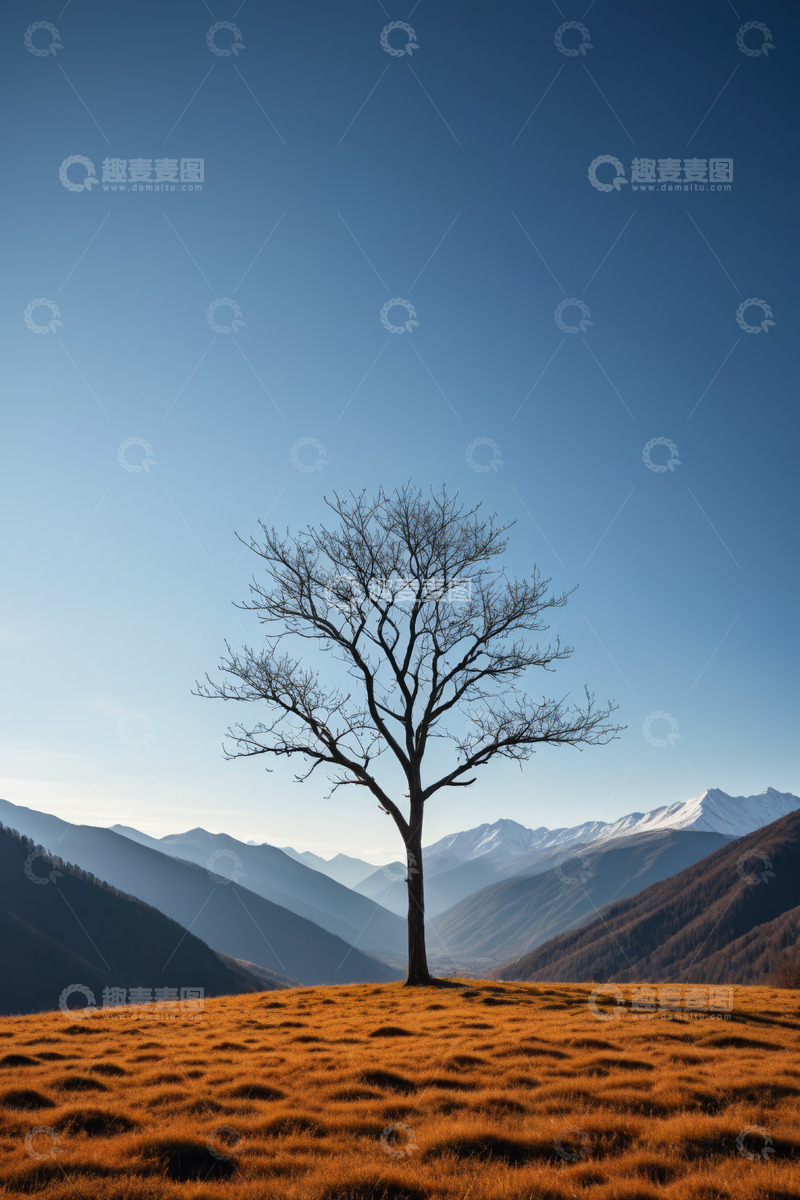 高清大图下载【趣麦麦图】山间孤树立于金黄草地