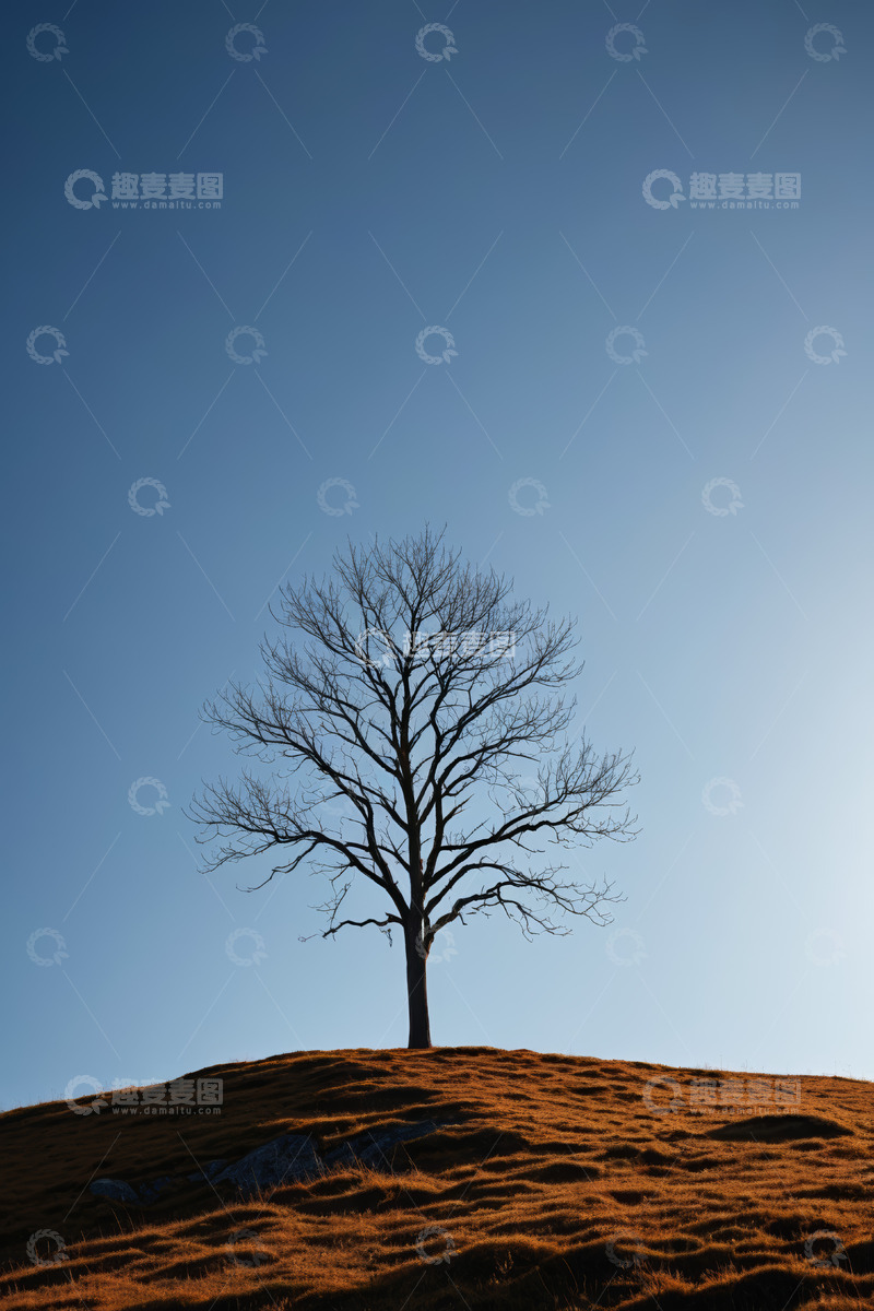 高清大图下载【趣麦麦图】山丘上的孤树与蓝天