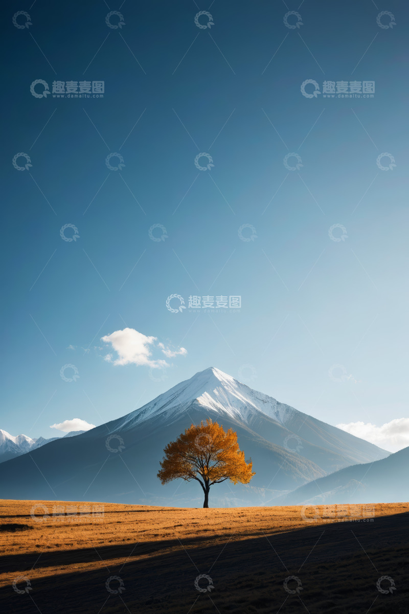 高清大图下载【趣麦麦图】雪山下的旷野孤树风景