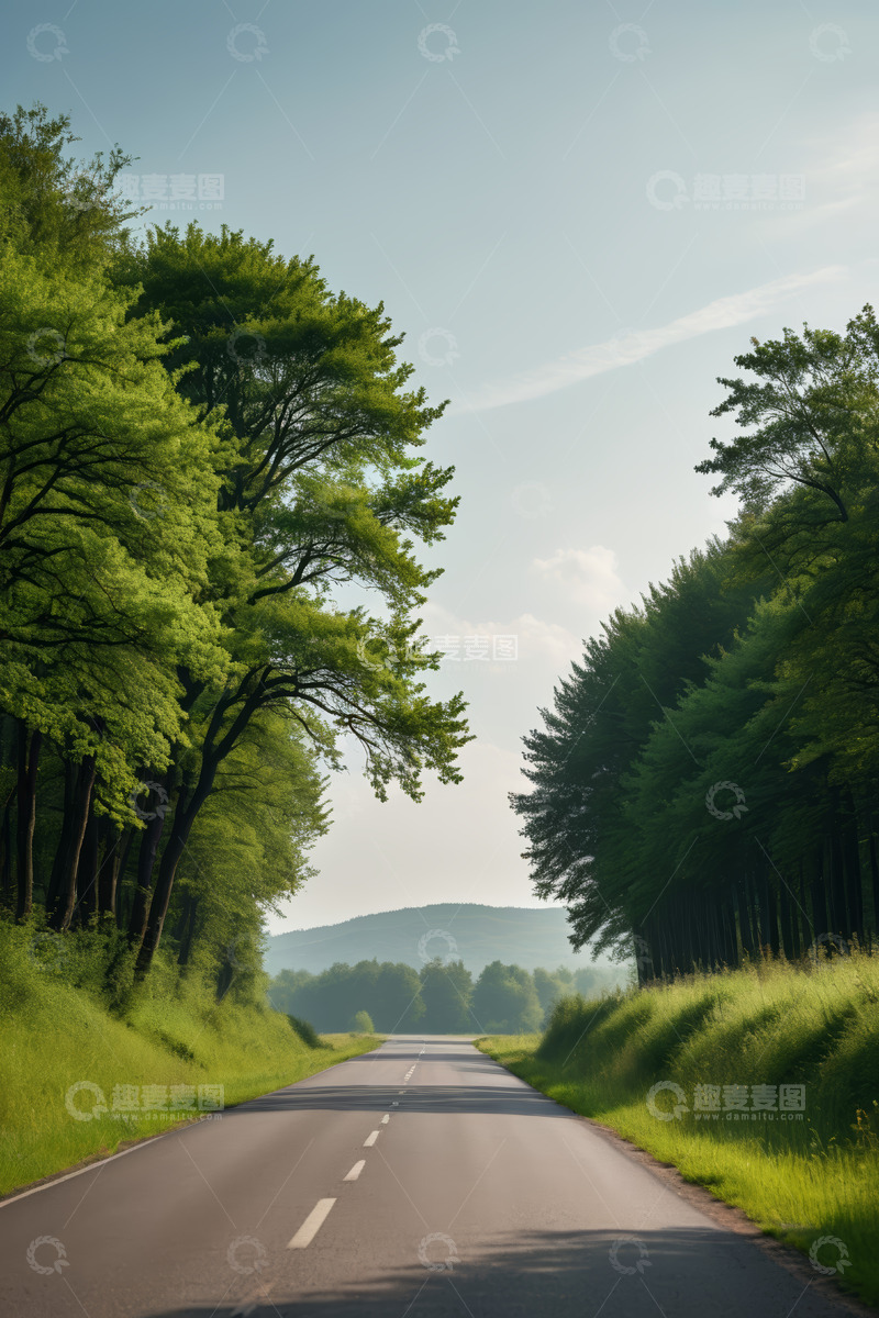 高清大图下载【趣麦麦图】林间道路自然风光