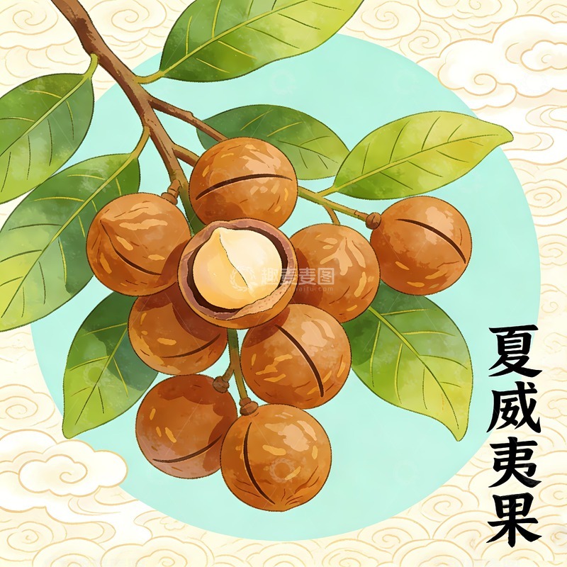 高清大图下载【趣麦麦图】夏威夷果火山豆 