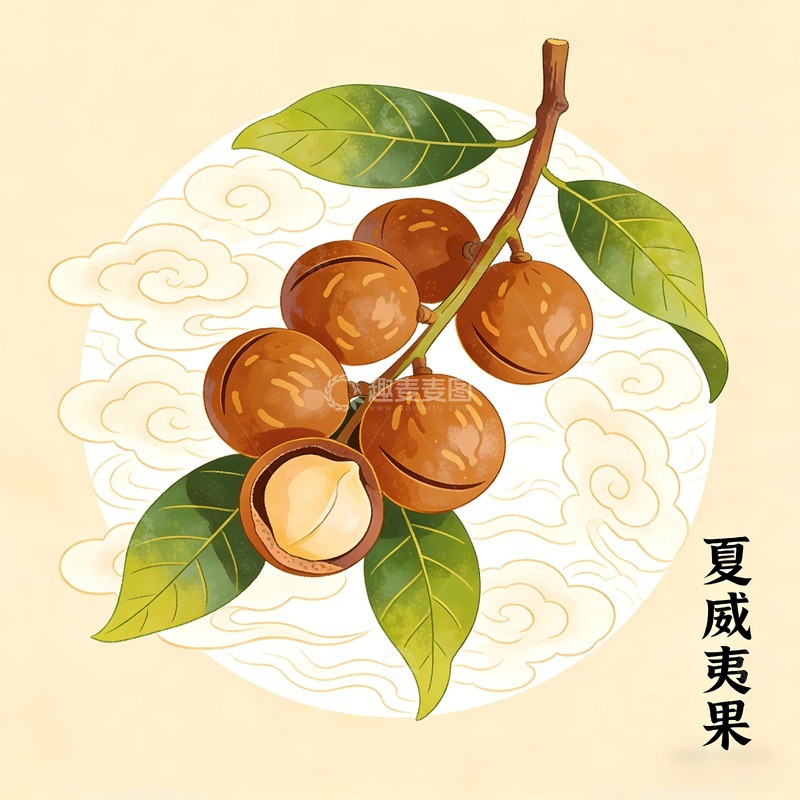 高清大图下载【趣麦麦图】一枝夏威夷果