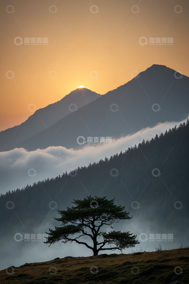 高清大图下载【趣麦麦图】山间日出云海孤树景观