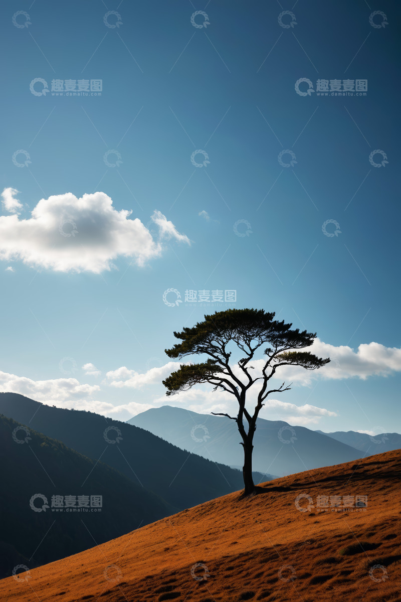 高清大图下载【趣麦麦图】山坡上的孤树与蓝天白云