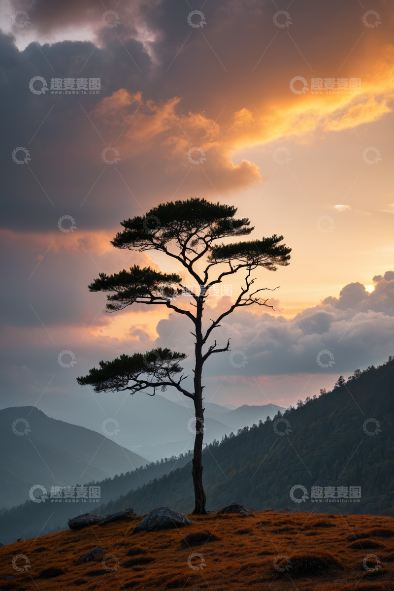 高清大图下载【趣麦麦图】山间孤树与晚霞景观