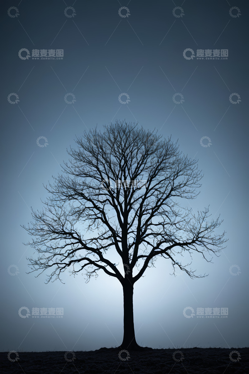 高清大图下载【趣麦麦图】夜空下的孤独树木剪影