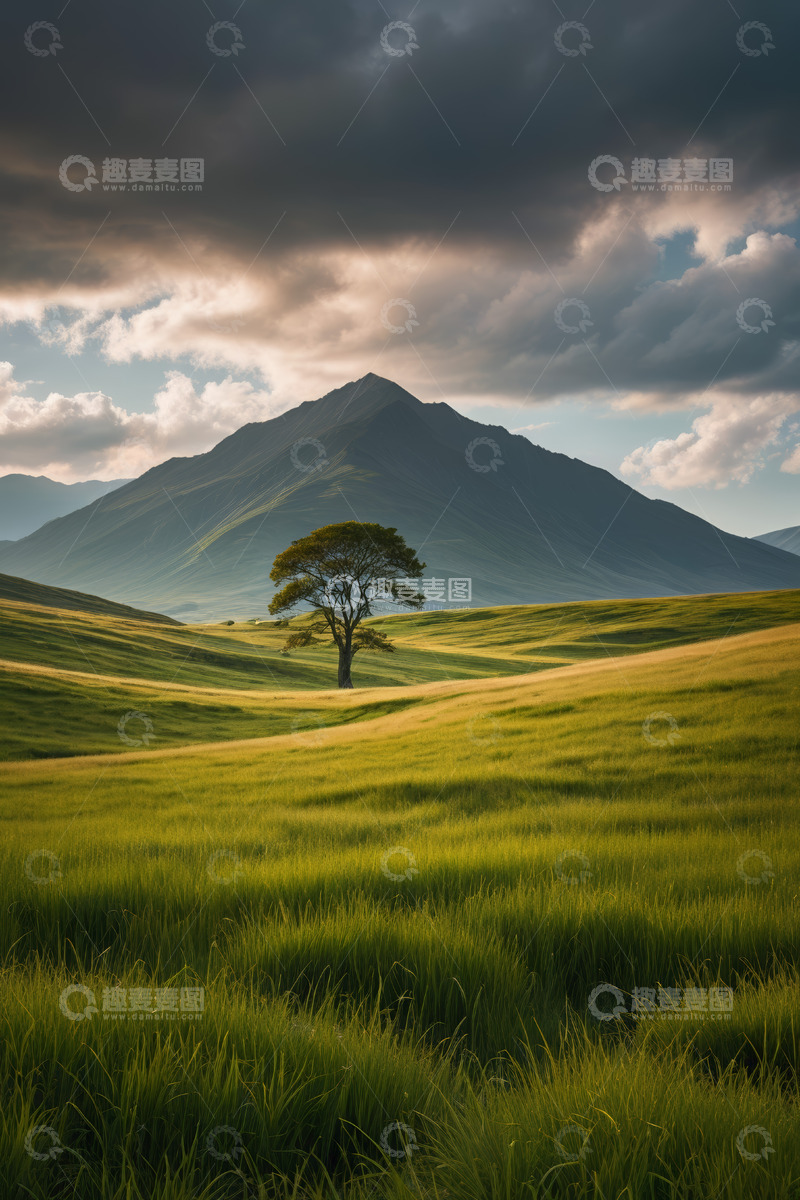 高清大图下载【趣麦麦图】草原上的孤树与远山风景