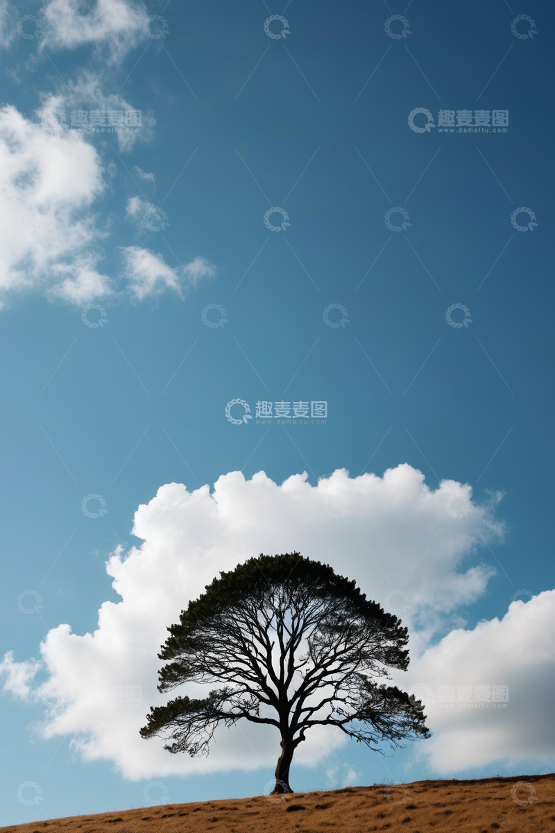 高清大图下载【趣麦麦图】蓝天下孤树立于山丘之上