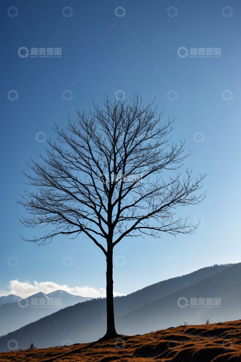 高清大图下载【趣麦麦图】蓝天背景下的孤树与远山