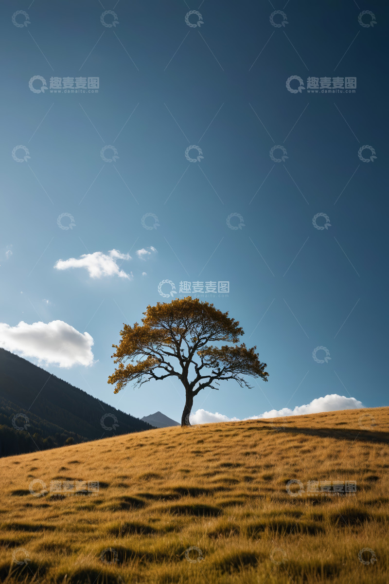 高清大图下载【趣麦麦图】草原上孤独的树木风景