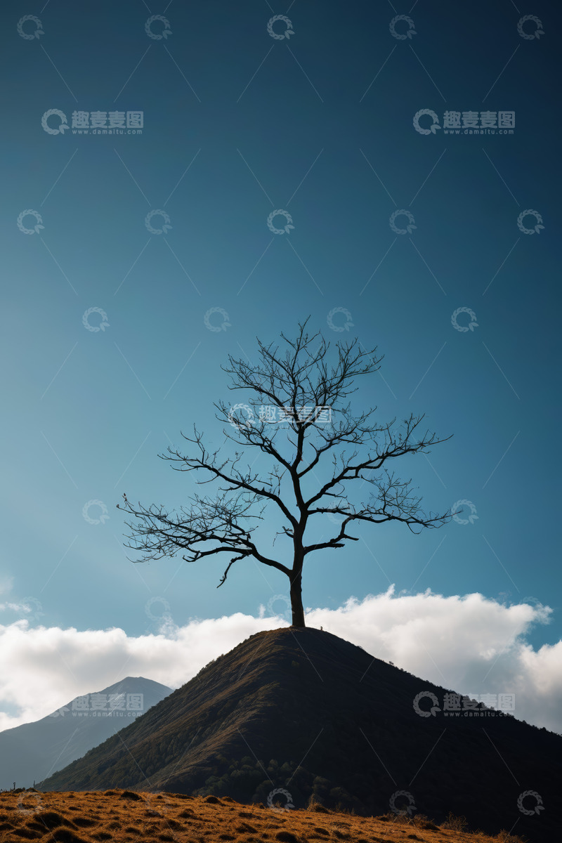 高清大图下载【趣麦麦图】山顶单棵枯树自然风光