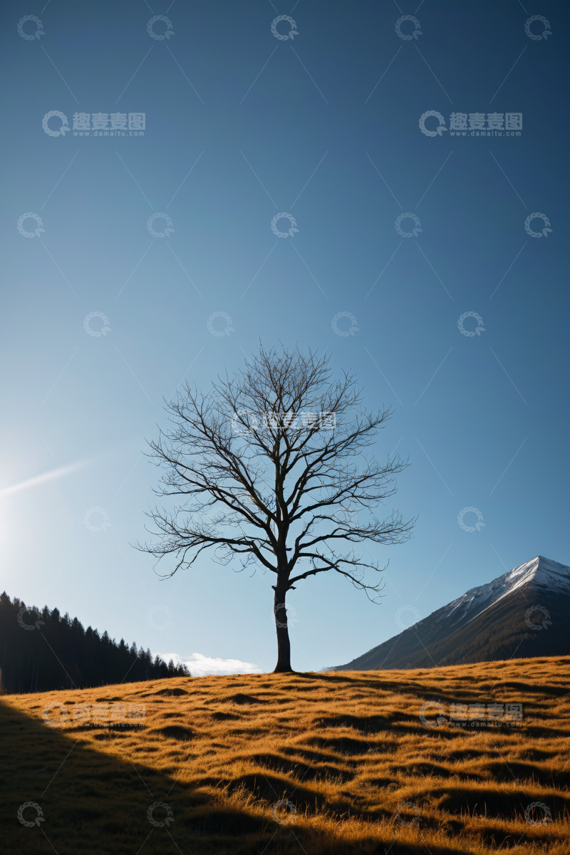 高清大图下载【趣麦麦图】山坡上的独树与远山景观