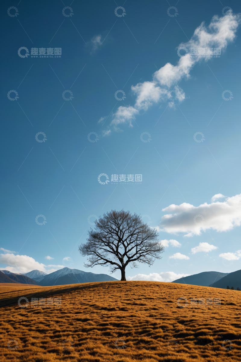 高清大图下载【趣麦麦图】草原孤树与蓝天白云景观