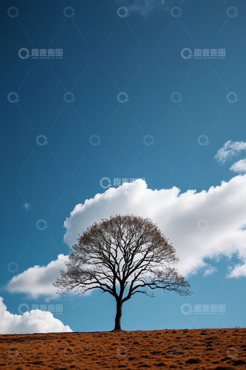 高清大图下载【趣麦麦图】蓝天下孤树立于红土地上
