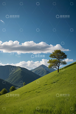 高清大图下载【趣麦麦图】山坡上的孤树与远山景观