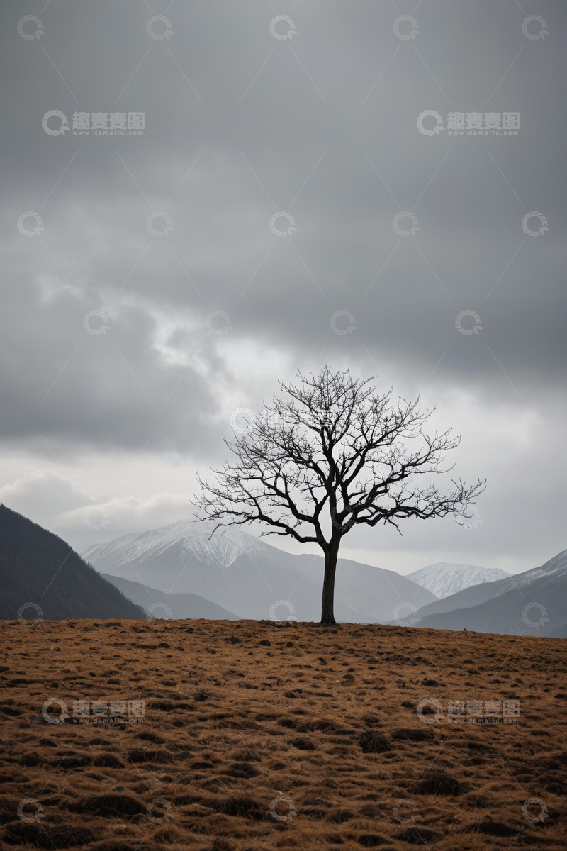 高清大图下载【趣麦麦图】旷野中孤树立于雪山背景前