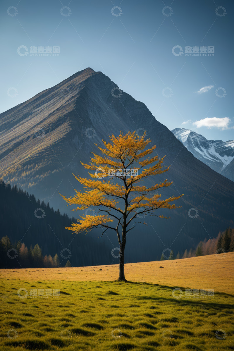 高清大图下载【趣麦麦图】山前景色中独立的金黄树木