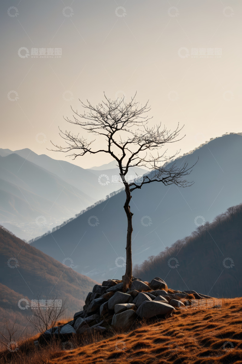 高清大图下载【趣麦麦图】山丘上的孤树与远山景观