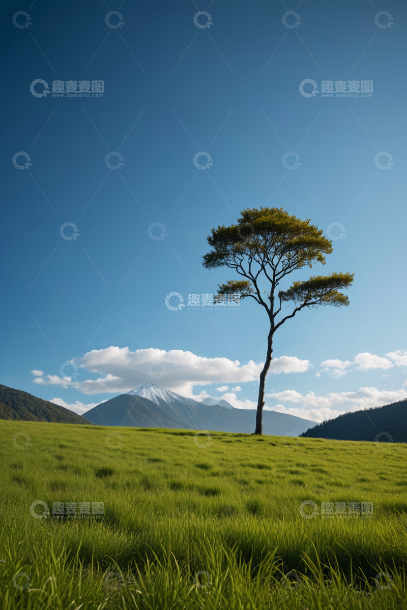 高清大图下载【趣麦麦图】草原上的孤树与远山风景