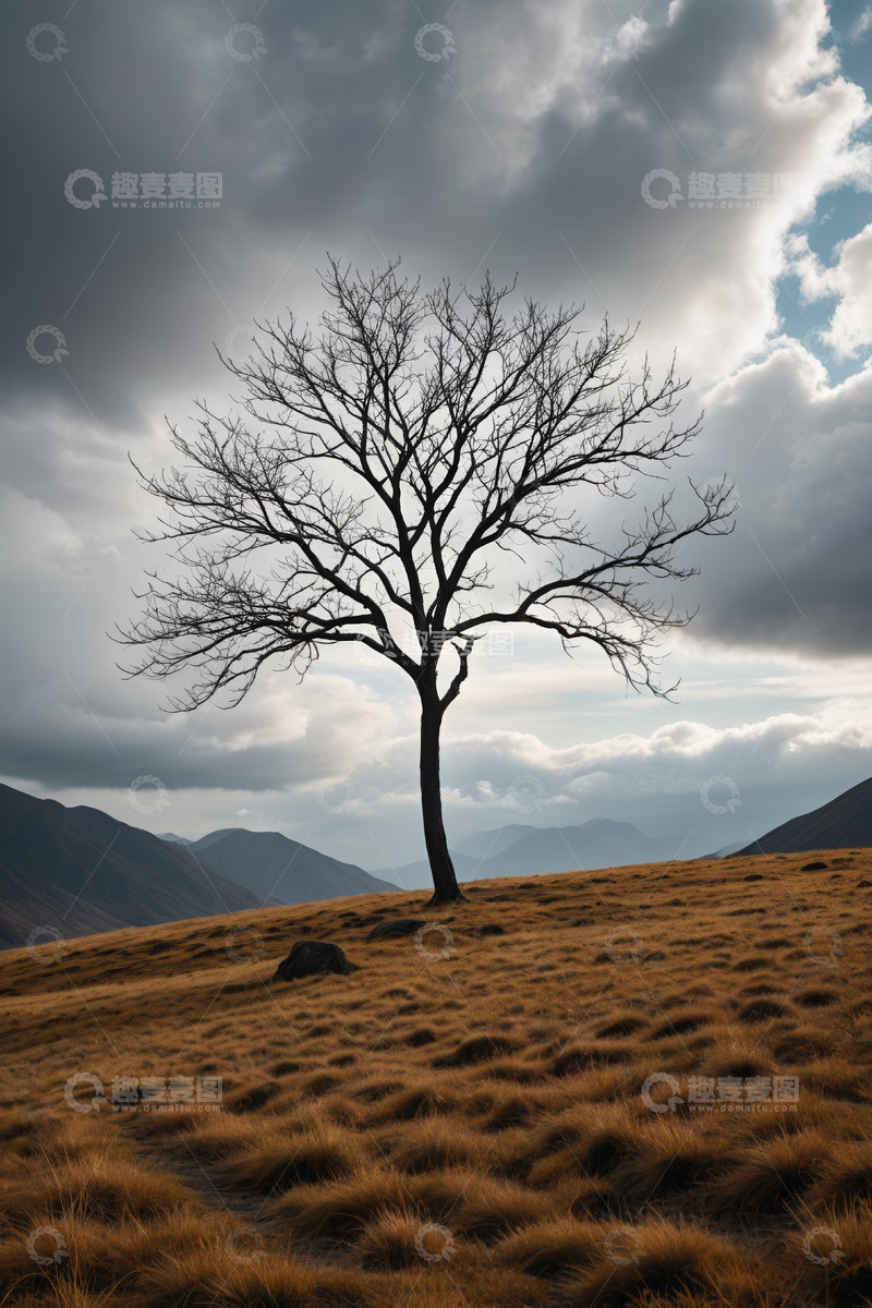 高清大图下载【趣麦麦图】山丘上的孤树与阴沉天空