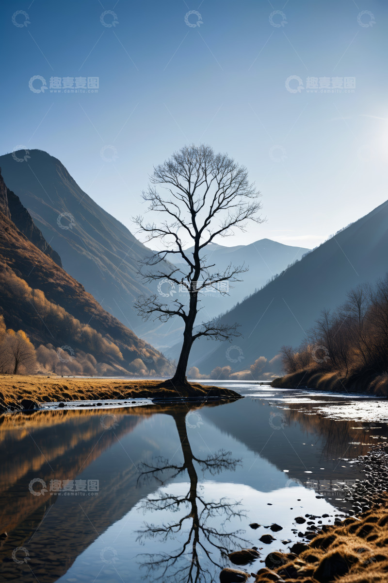 高清大图下载【趣麦麦图】山间河畔孤树立于宁静水面