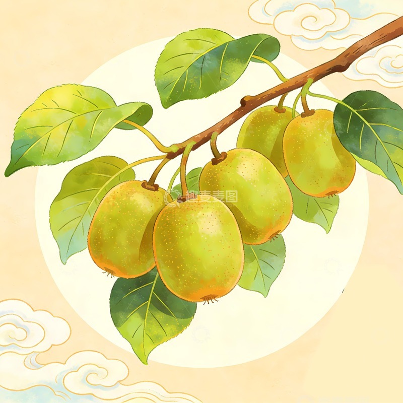 高清大图下载【趣麦麦图】猕猴桃手绘奇异果