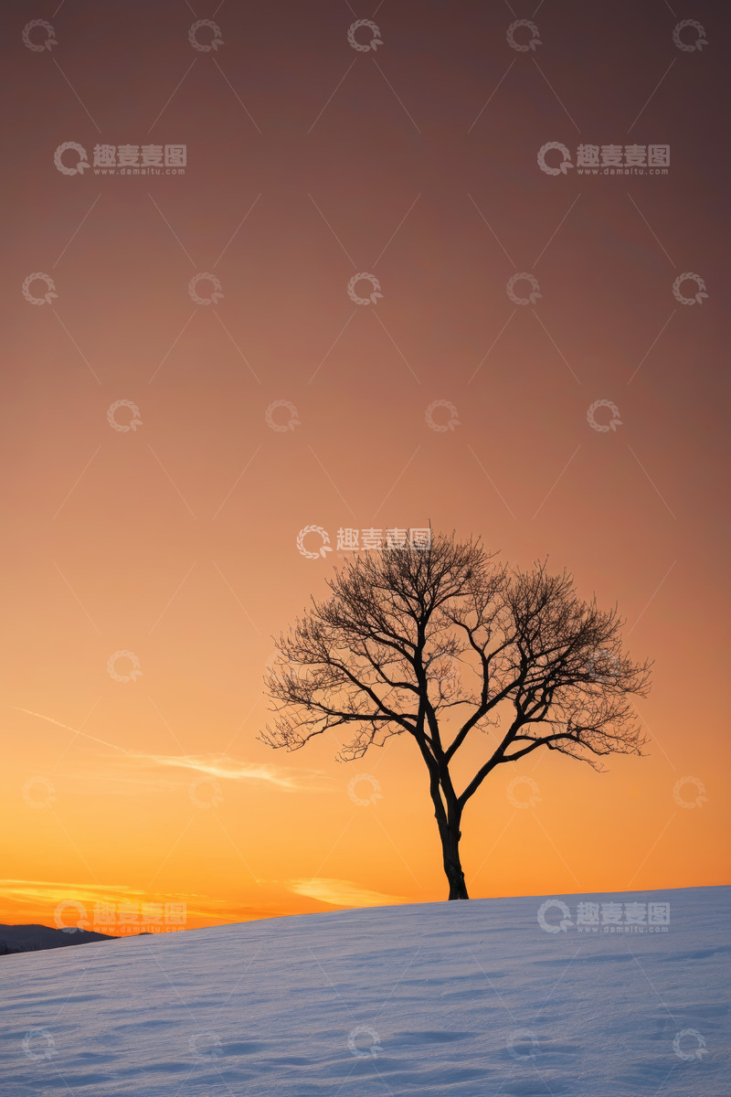 高清大图下载【趣麦麦图】雪地孤树日落景象