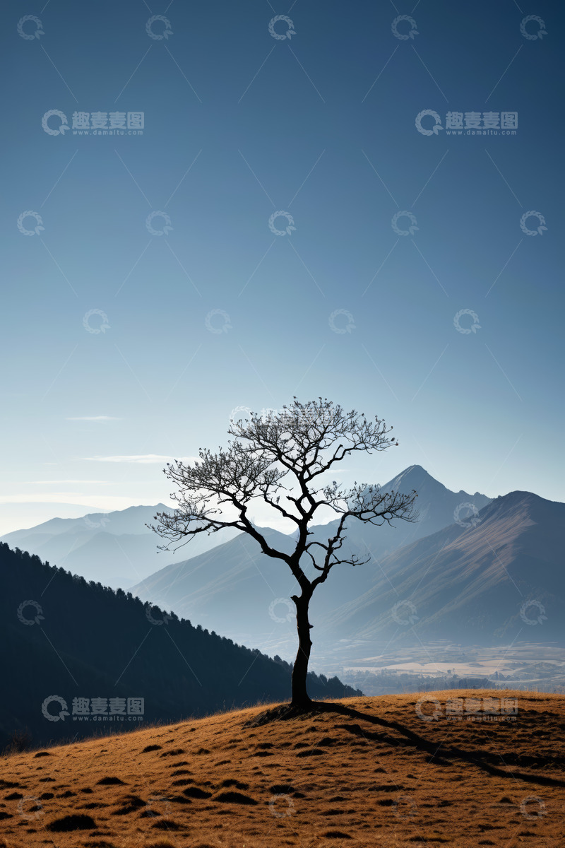 高清大图下载【趣麦麦图】山丘上的孤树与远山景观