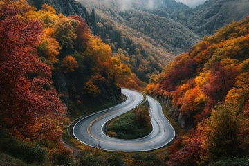 秋季山林里蜿蜒的公路