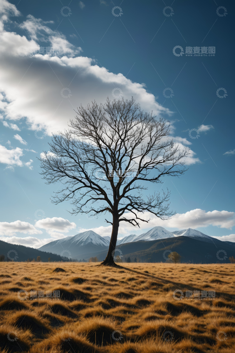 高清大图下载【趣麦麦图】旷野孤树与远山雪景