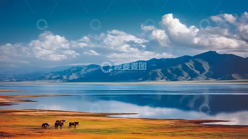 高清大图下载【趣麦麦图】静谧湖畔骏马风景画