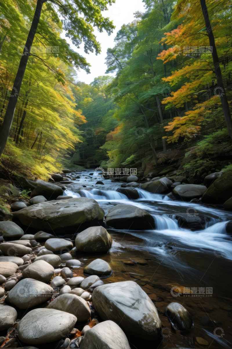 高清大图下载【趣麦麦图】森林中溪流与多彩树木景观